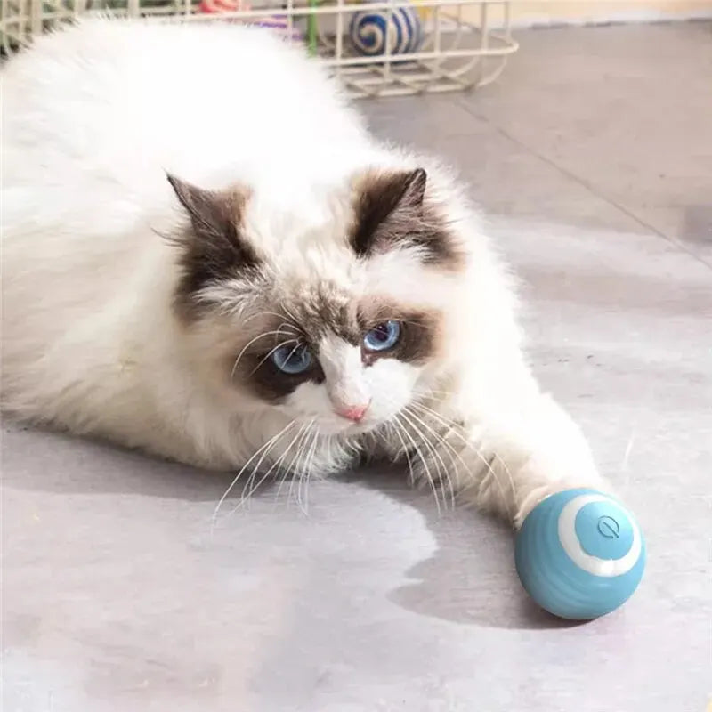 Self-Moving Interactive Cat Ball