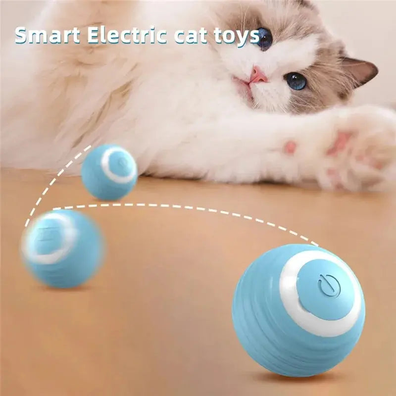 Self-Moving Interactive Cat Ball