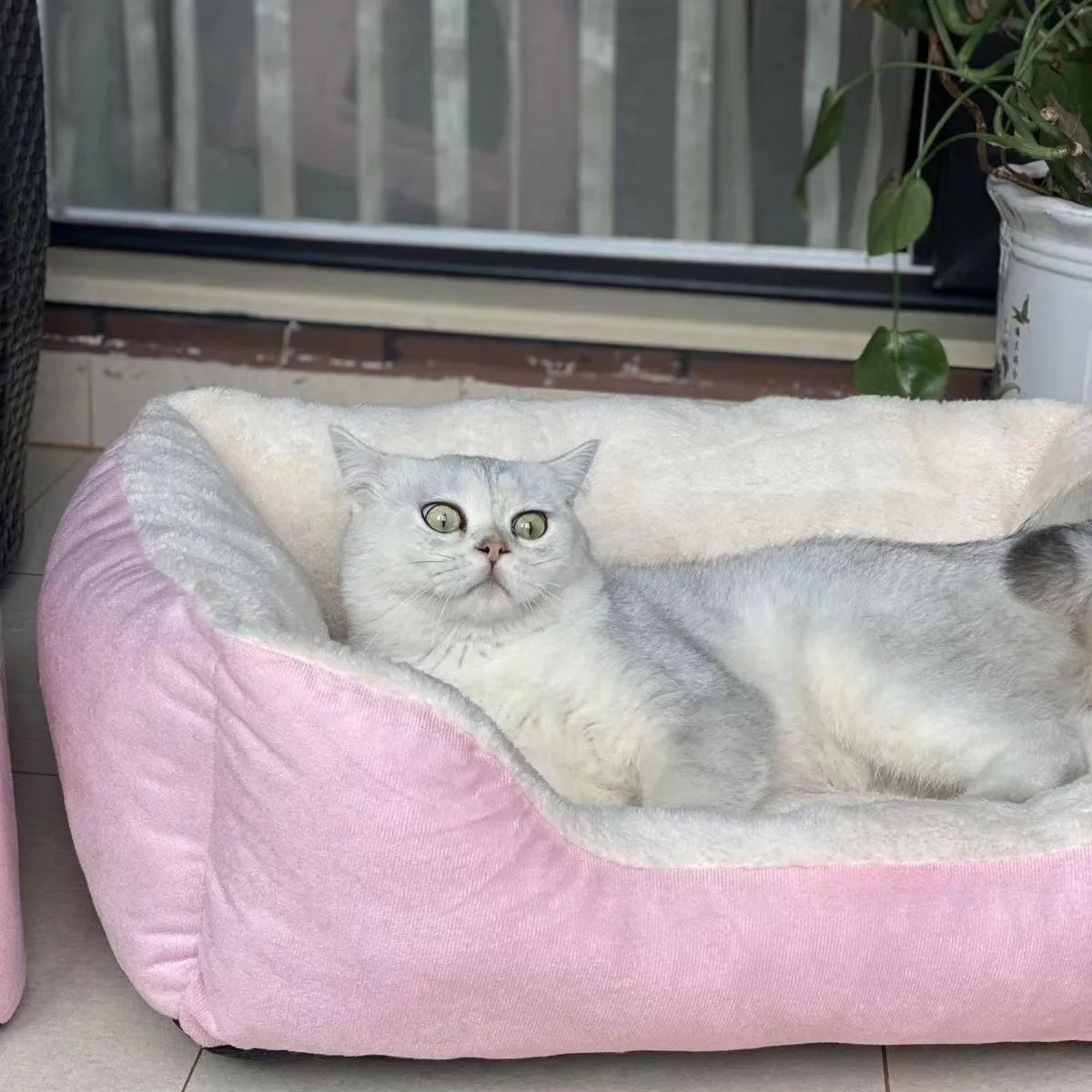 Warm Thickened Cat & Dog Bed